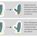Наклейки